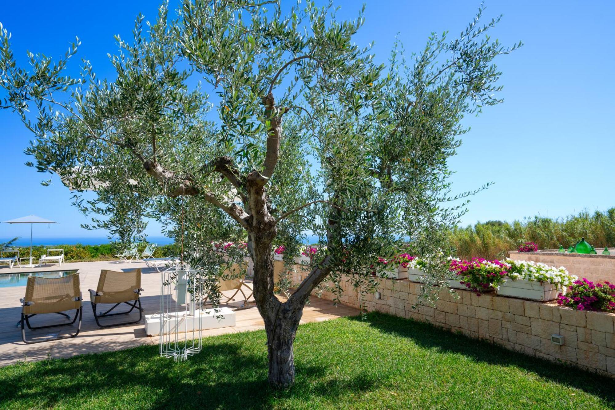 פולינאנו א מארה Montegrottone Nature Retreat מראה חיצוני תמונה